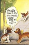 BAMFORTH No.2264 DOGS humour FLOSSIE Vintage Comic Postcard refB1