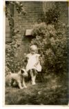 Pauline age 3 with stuffed toy dog vintage photo postcard