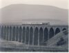 1982 Ribbleshead Viaduct 31.141 Train Photo refSC158