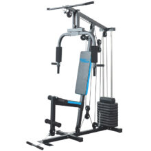 BodyTrain HG-460 Single Station Home Multi Gym with 66kg Weight Stack Review & Compare on 4utoday